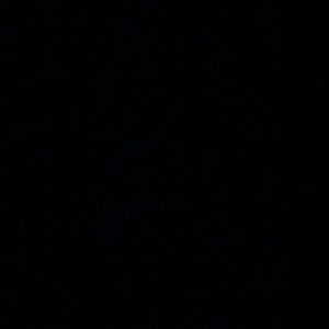 Meet your Posher, Stan